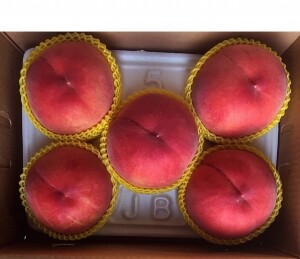 정이가는복숭아 1.8kg,3kg,4kg